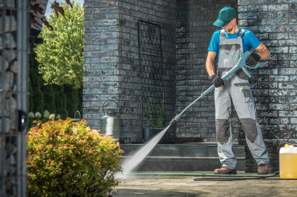 Best Residential Pressure Washing in Dahlone, GA
